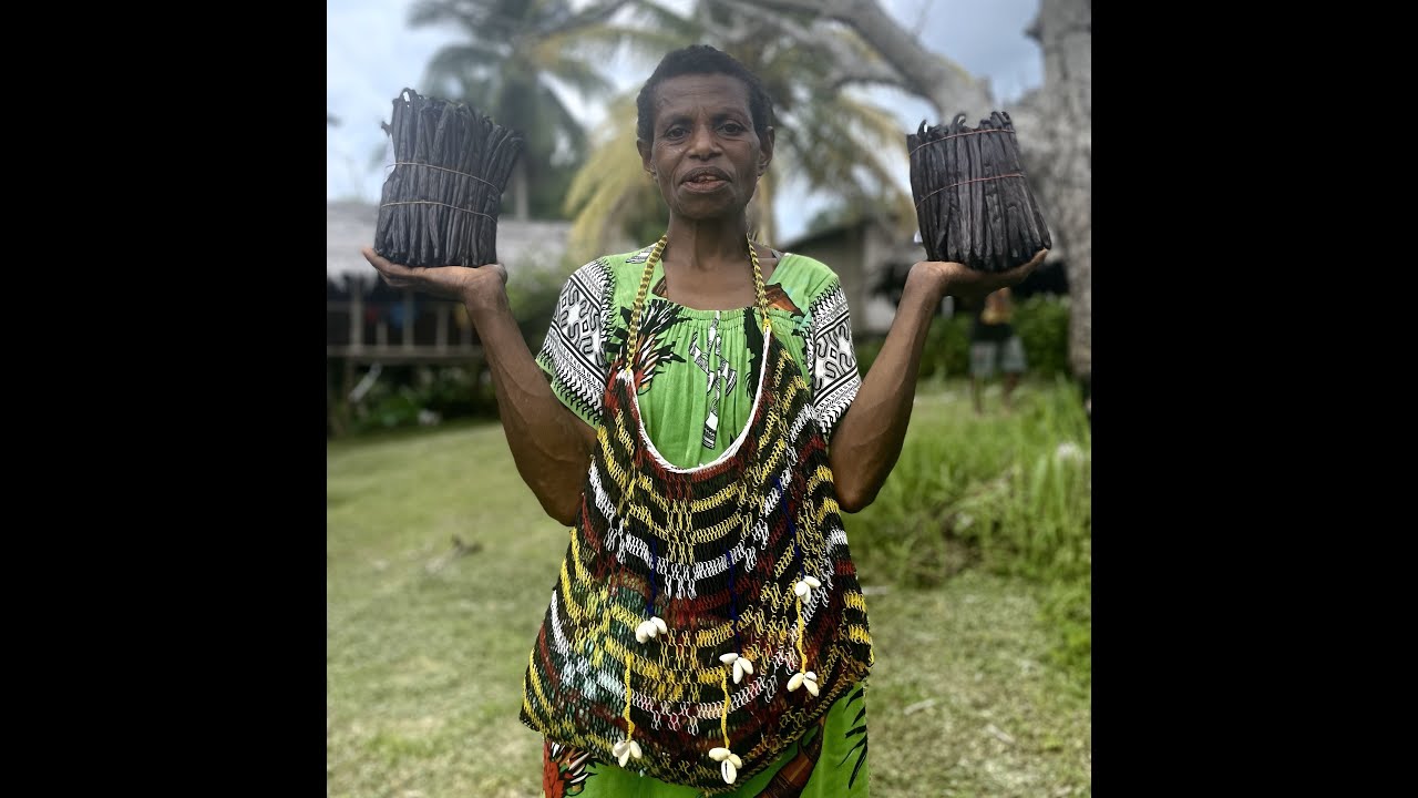 Vanilla Curing Process