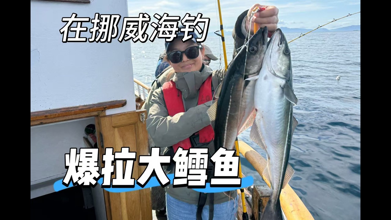 挪威海钓初体验！在罗弗敦群岛爆拉大鳕鱼——蓝牌车亚欧穿越之挪威