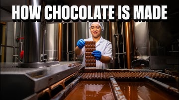 How Chocolate Is REALLY Made — Inside the Most Satisfying Factory on Earth