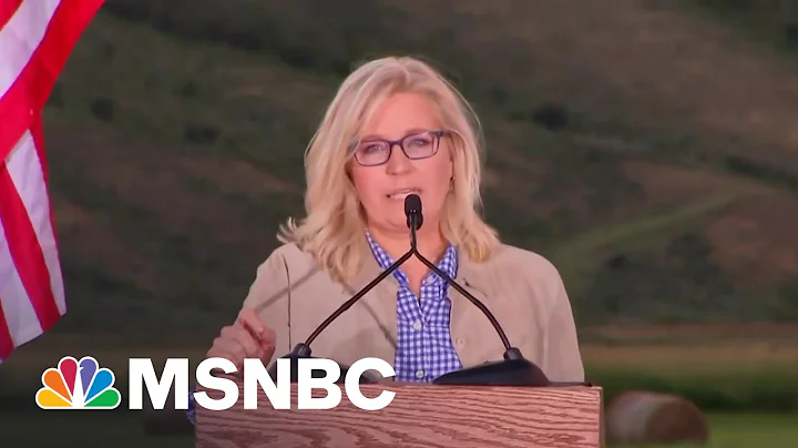 Brendan Buck: Cheney Lost Her Primary For A Greate...