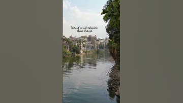 وَلَوْ شَاءَ اللَّهُ لَجَعَلَكُمْ أُمَّةً وَاحِدَةً | سورة المائدة | الشيخ محمد رفعت #قرآن #quran