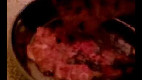 Video 6763091: bengal eating