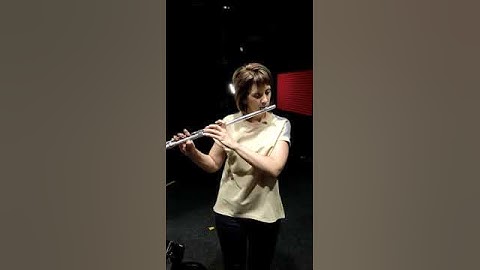 Хор невольниц из оперы "Князь Игорь" разпознает FPGA плата