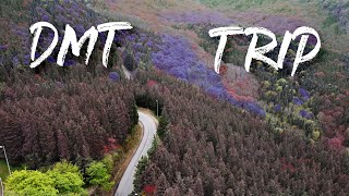 dmt trip simulation high dose pov - توهم روی دوز بالای دی ام تی