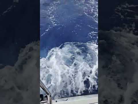 Видео: Волны в тихом океане. По дороге на остров Ньюи #тихийокеан #sailing #капитангерман #pacific #shorts