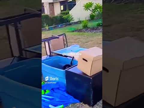 Lixo na Austrália: