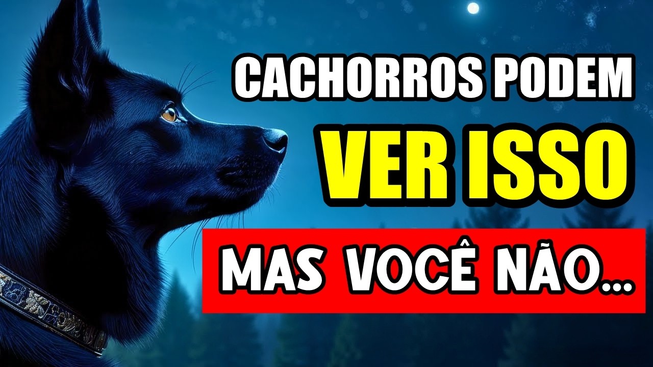13 Coisas INACREDITÁVEIS que seu cachorro consegue ver, ouvir e sentir E VOCÊ NÃO!