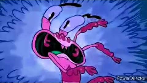 Rj Kumar Version of I Killed Pig Goat Banana Cricket Theme Song