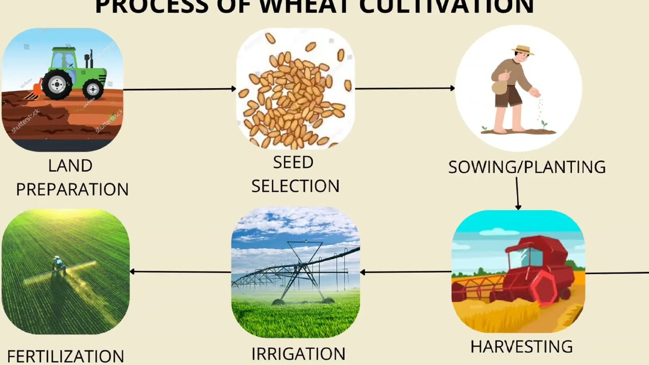 Introducetion Plant breeding 1 