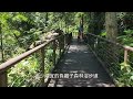 【旅遊療癒】八仙山國家森林公園|檜木四人房˙|台灣適合闔家渡假的森林公園!❤️堪稱2023年以前全台灣管理最好的渡假木屋~乾淨又新 森林浴步道赤腳走路 腳底是乾淨的喔 @1491M