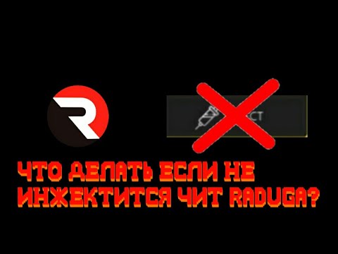 Что делать если не инжектится чит Raduga? Ответ тут!