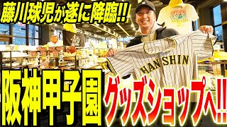 【衝撃グッズ続々!!】阪神タイガースショップで藤川も興奮止まらない！！思わずツッコミ炸裂の珍アイテムとは！？藤川本気のイチ推しグッズも登場！！