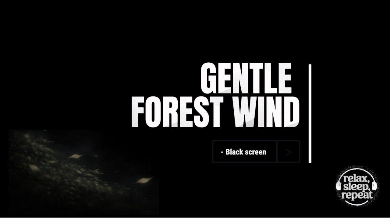 12 Hours of Gentle Forest Wind | Deep Sleep • Black Screen