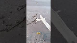 This Will Twist Your Mind Wait Till The End