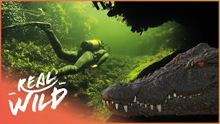 The Unexplored Wilderness Guarded By Africa's Most Dangerous Creatures | Okovango Delta | Real Wild