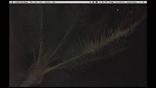 Being Joe Hawley Volume II - Relaxing ASMR (2016-07-22)