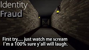 FIRST TIME PLAYING IDENTITY FRAUD!!! *intense screams *