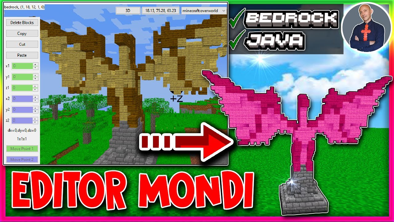 COME COPIARE UNA STRUTTURA SU MINECRAFT TRA MONDI DIFFERENTI (PS4 SWITCH XBOX PE BEDROCK JAVA)