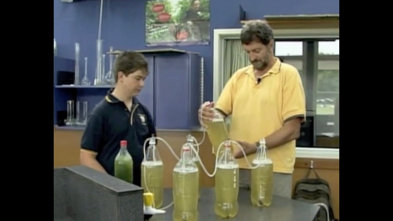 Student Research projects: Morrinsville College CREST Korean TV