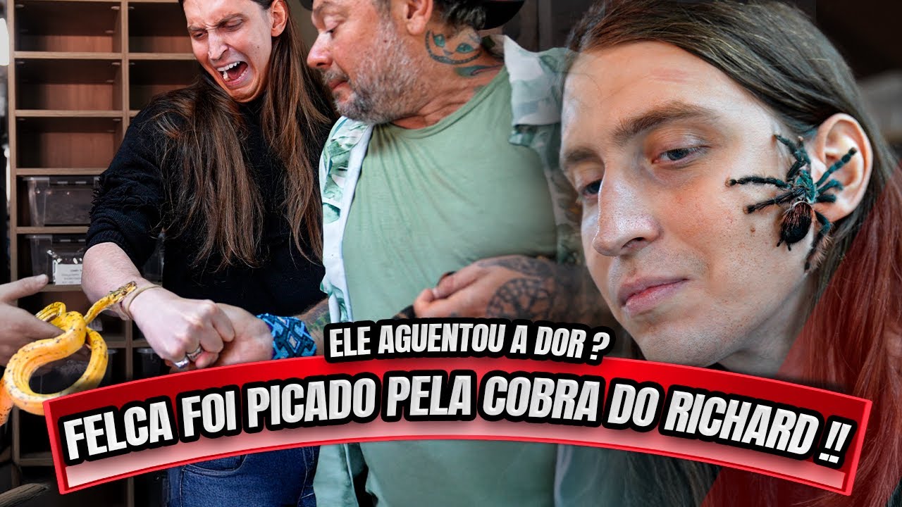 FELCA TOMOU UMA PICADA DA COBRA DO RICHARD - NÃO AGUENTOU A DOR ?