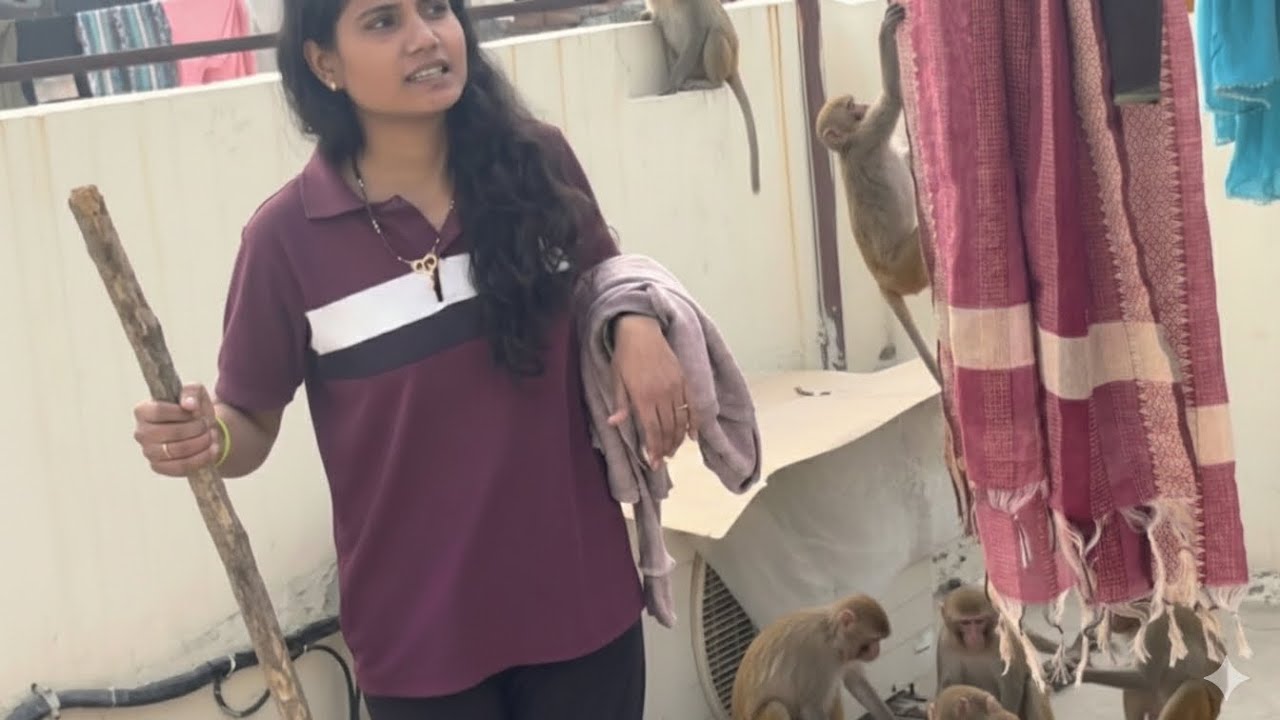 Bandaro ne Hamla Kar Diya😱