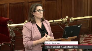 Meg Webb MLC 2RS - Electoral Amendment (Alternative Voting Procedures) Bill 2025 - 3 April 2025
