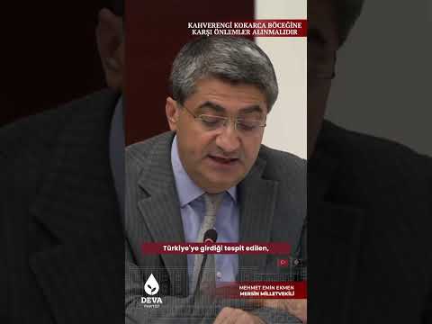 Kahverengi Kokarca Böceğine Karşı Önlemler Alınmalıdır