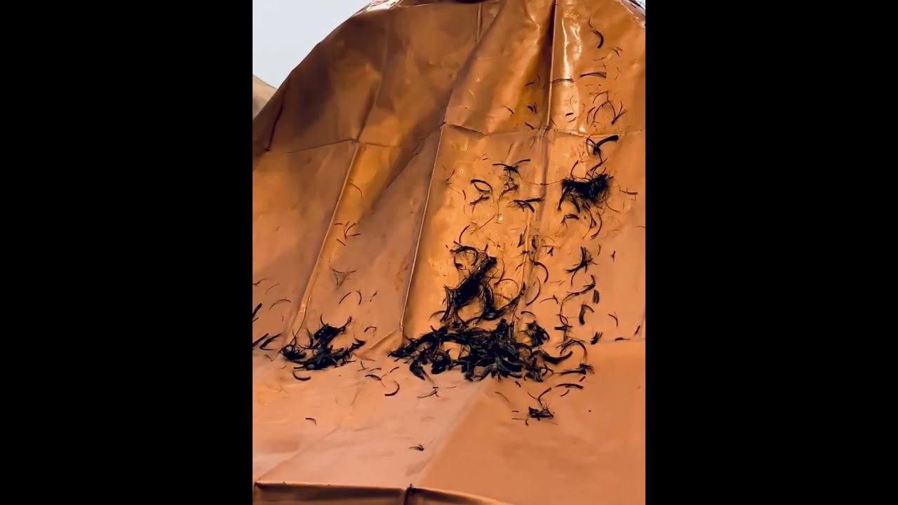 Asmr scissors haircut at barber shop