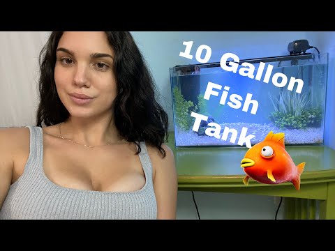 Video: 7 Ferskvandsfisk, Der Er Perfekte Til En 10-gallons Tank