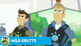 Famous WILD KRATTS | Red Panda Present | PBS KIDS Profile