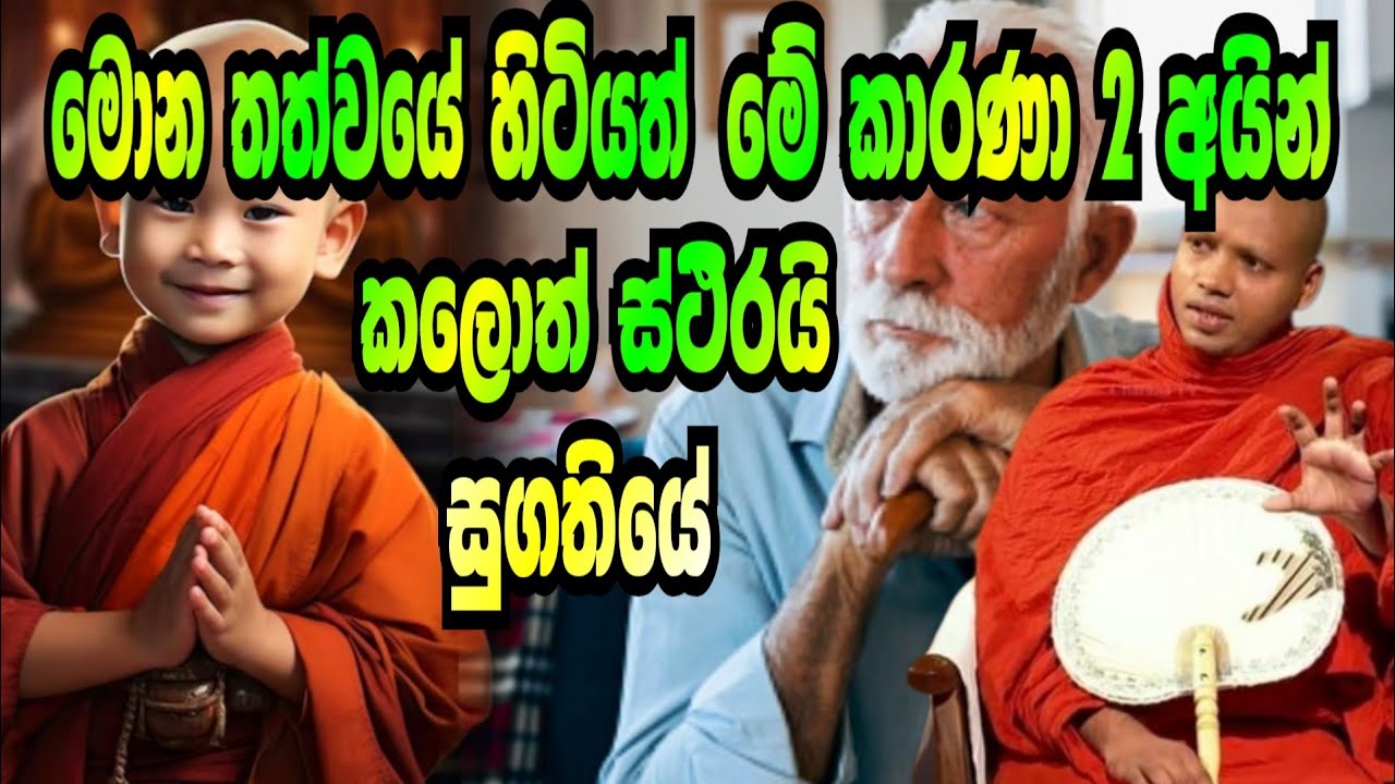 මොන මට්ටමේ හිටියත් මේ කාරණා 2 අයින් කලොත් ස්ථිරයි සුගතියේ.හසලක සීලවිමල හිමි.Hasalaka Seelawimala The