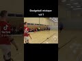 Dodgeball mixtape vol 1 vince marchbanks