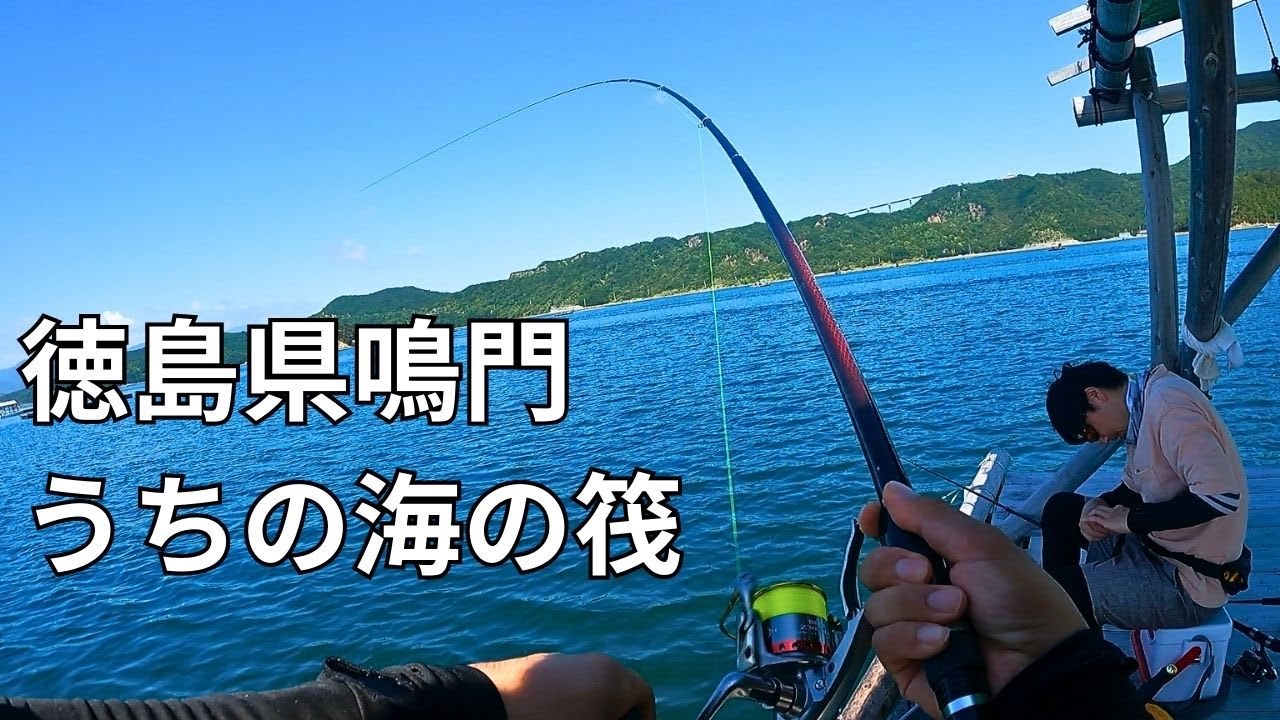 【徳島県鳴門】うちの海の筏でフカセ釣り　アジ・さば・真鯛を狙う