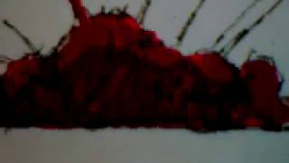 dsi flip notes sonic vs shadow