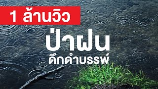 สารคดี สำรวจโลก ตอน ป่าฝนดึกดำบรรพ์