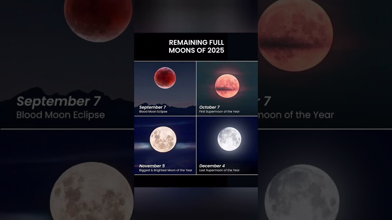 LUNAR HIGHLIGHTS 🌌🌕 