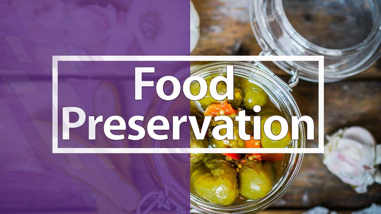 Food Preservation YouTube