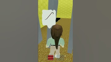 How to find Orange and Blue Crazy Morph in Backroom Morphs