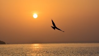 Reminiscences of holidays in Guinea-Bissau. 22 minutes long video about adventures of an eight-man family in Western Africa.
