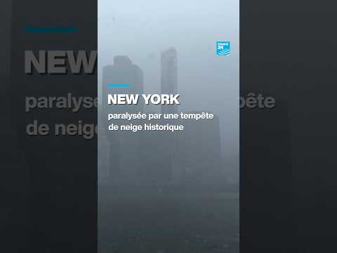 New York paralysée par une tempête de neige historique • FRANCE 24