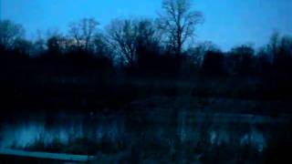 Spring Sounds At the Cope Environmental Center