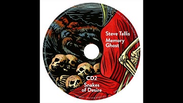 3 Steve Tallis - Bite The Bullet
