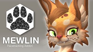 Mewlin -  Facetracking Pico + VIVE Showcase - VRChat
