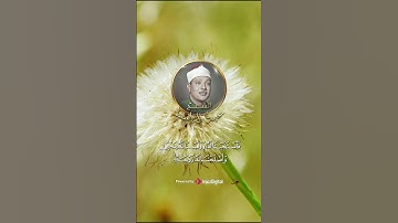 الشيخ عبد الباسط عبد الصمد {وَزَكَرِيّا إِذْ نَادَىَ رَبّهُ} سورة الانبياء