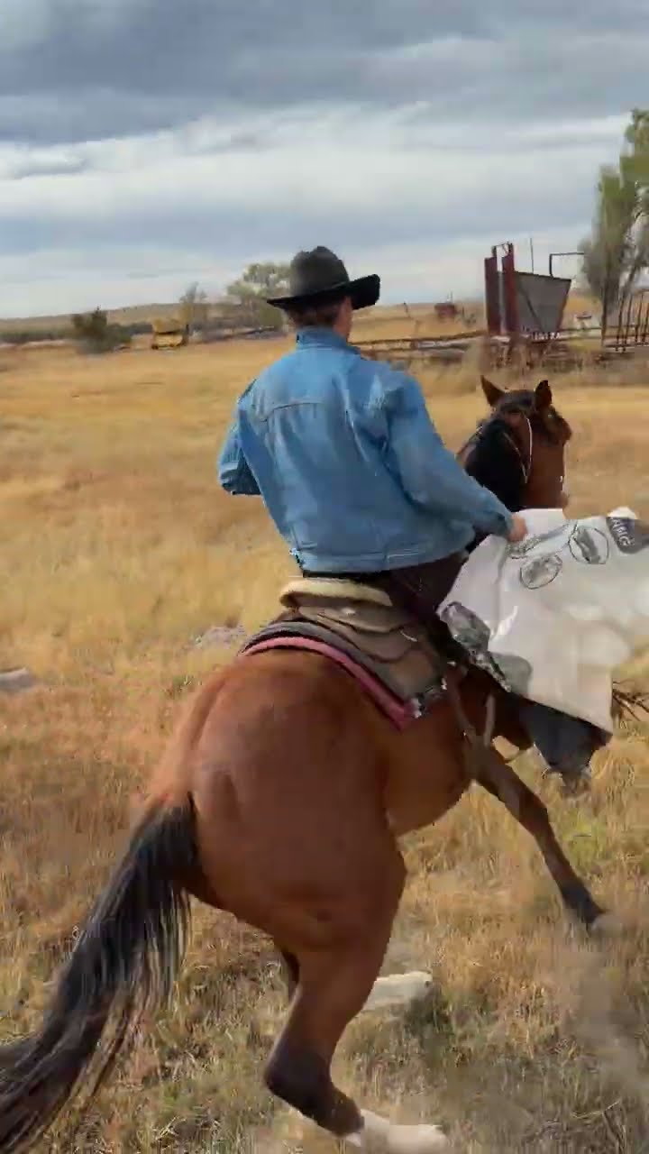 Horse Suddenly Bucks Off Rider || ViralHog