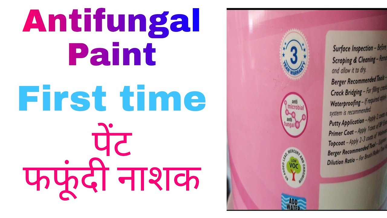 Antifungal Paint First time, फफूंदी नाशक पेंट। By Mak Darbar. YouTube