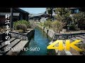 Harie Shozu-no-sato - Shiga - 針江生水の郷 -  4K Ultra HD