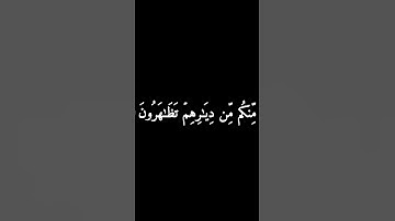 كروما سوداء سورة البقرة #فارس_عباد