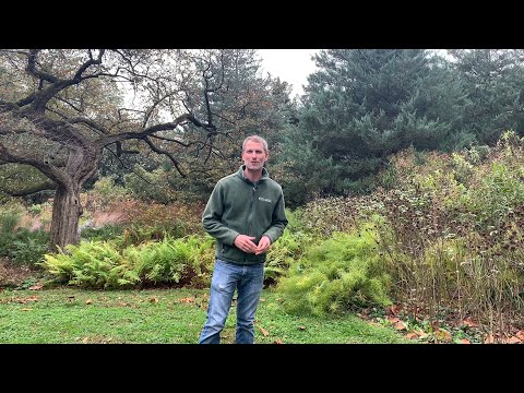 Gardener's Almanac: Oct