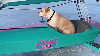 Bono On Miami Ice Jan 2023